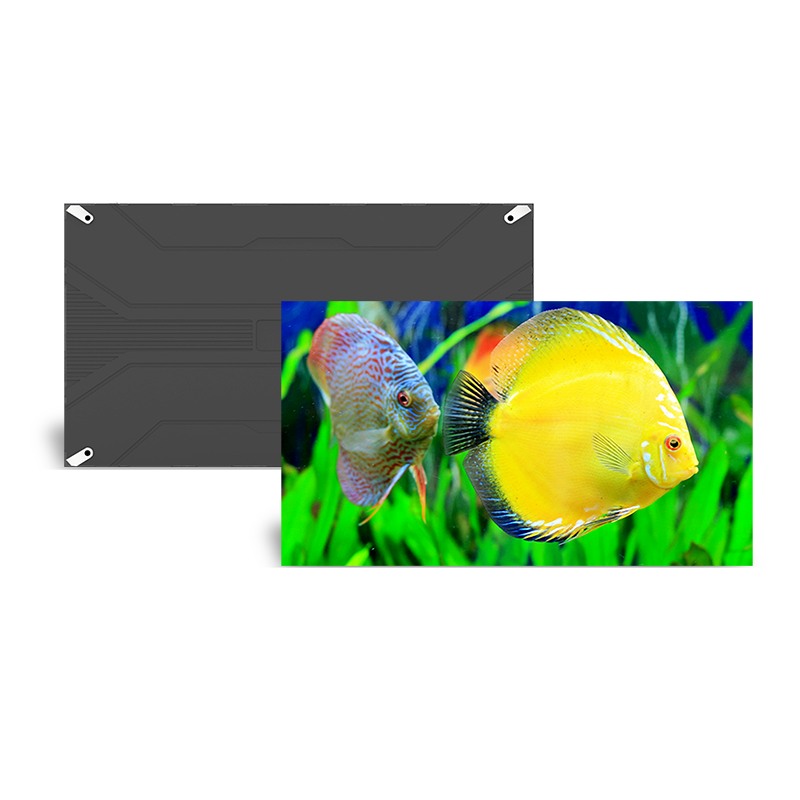 Fin pixelpitch LED-skärm 600*337,5 mm (ultra-tunn serie) Utvald bild